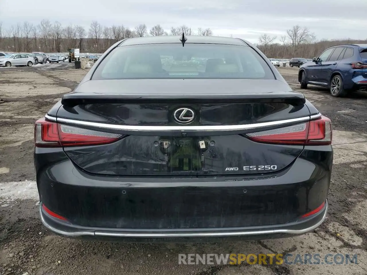 6 Photograph of a damaged car 58AD11D17MU002161 LEXUS ES250 2021