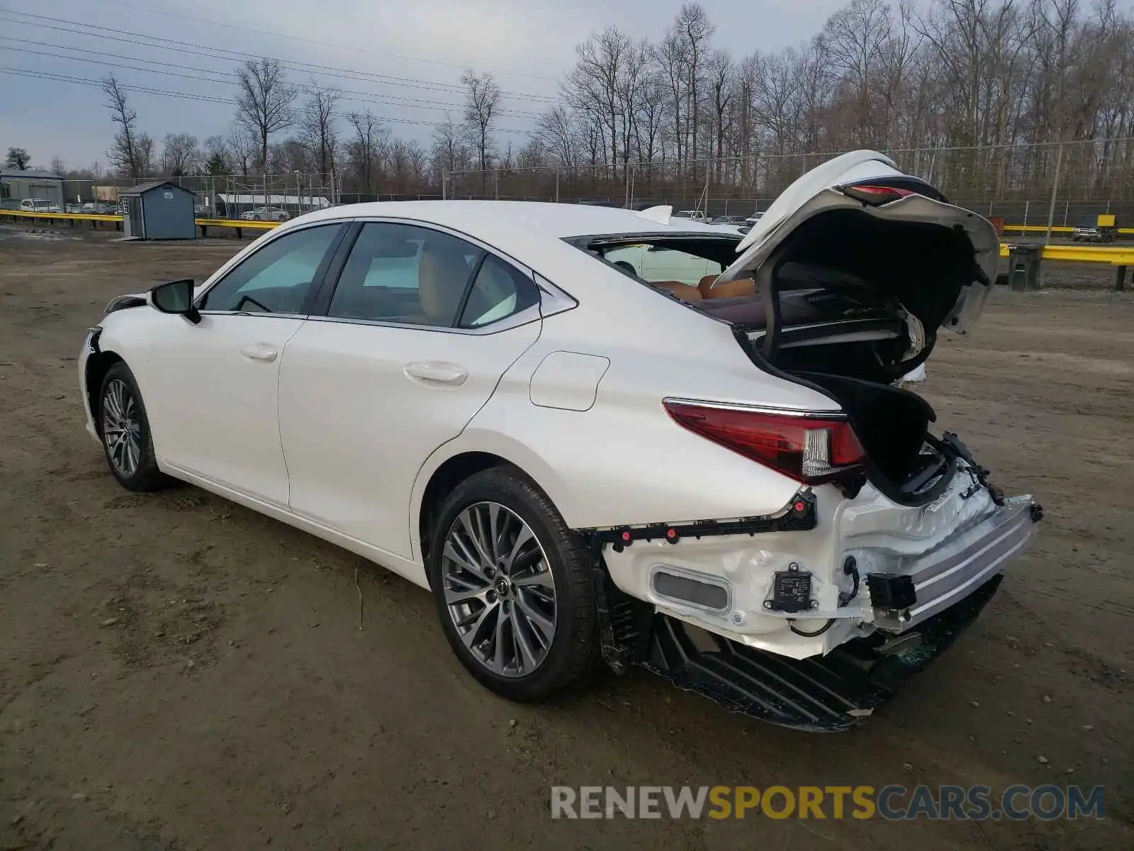 3 Photograph of a damaged car 58AD11D19MU002050 LEXUS ES250 2021