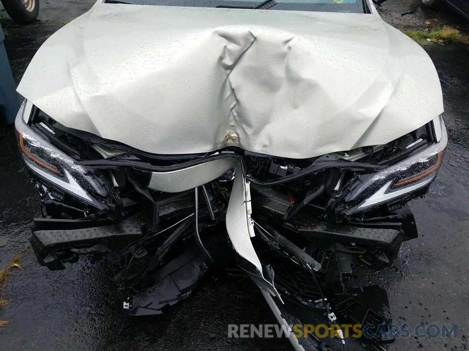 7 Photograph of a damaged car 58AB21B12KU001469 LEXUS ES300 2019