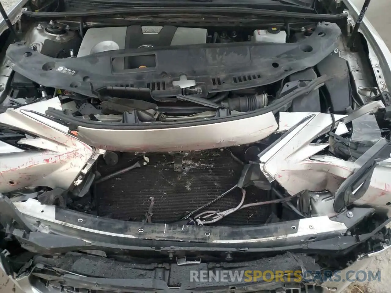 11 Photograph of a damaged car 58AB21B18KU002299 LEXUS ES300 2019