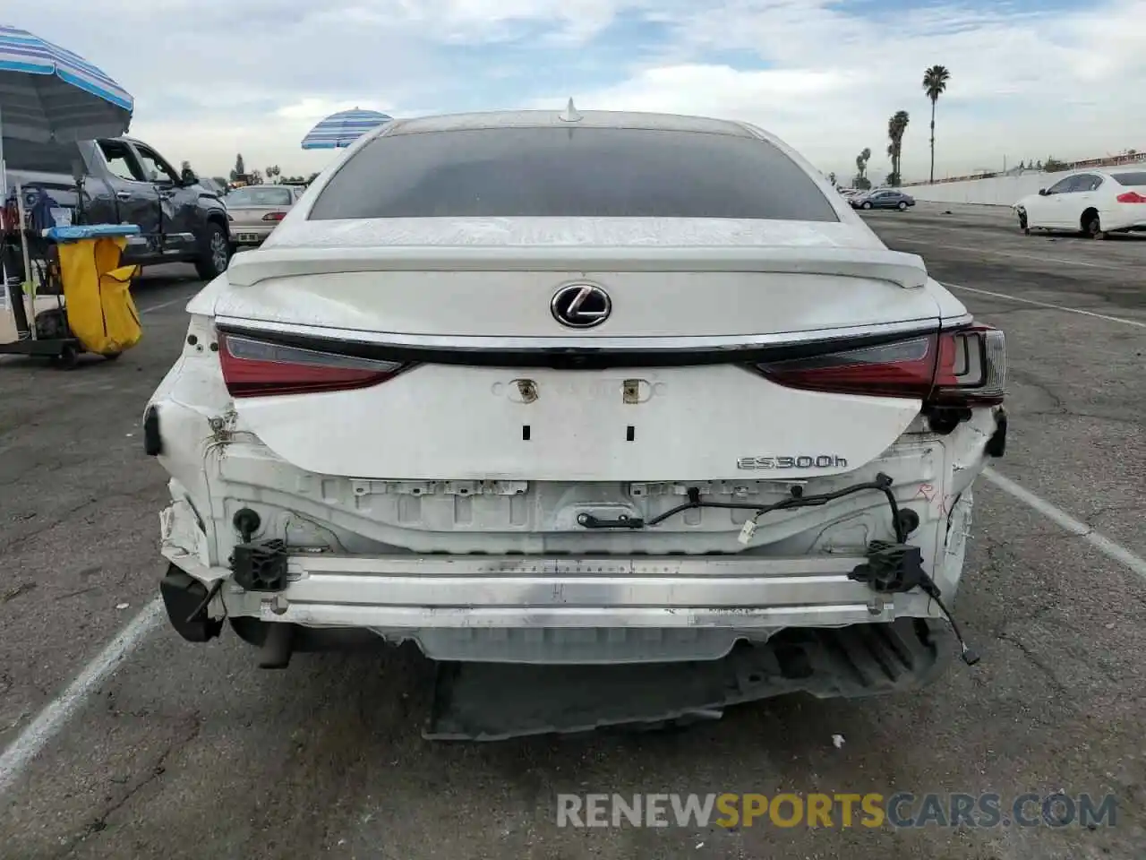 6 Photograph of a damaged car 58AB21B1XKU001994 LEXUS ES300 2019