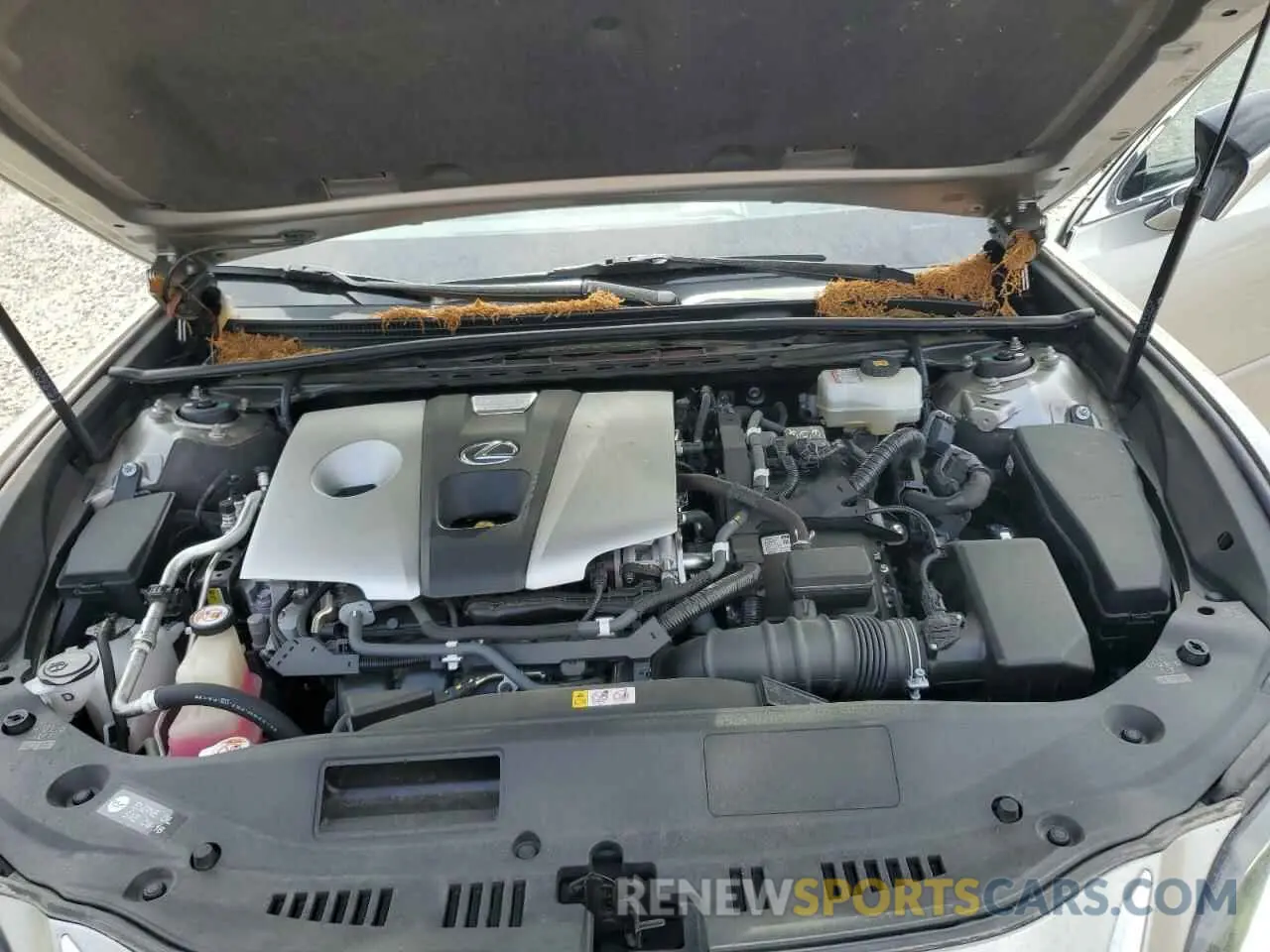11 Photograph of a damaged car JTHB21B12K2006306 LEXUS ES300 2019