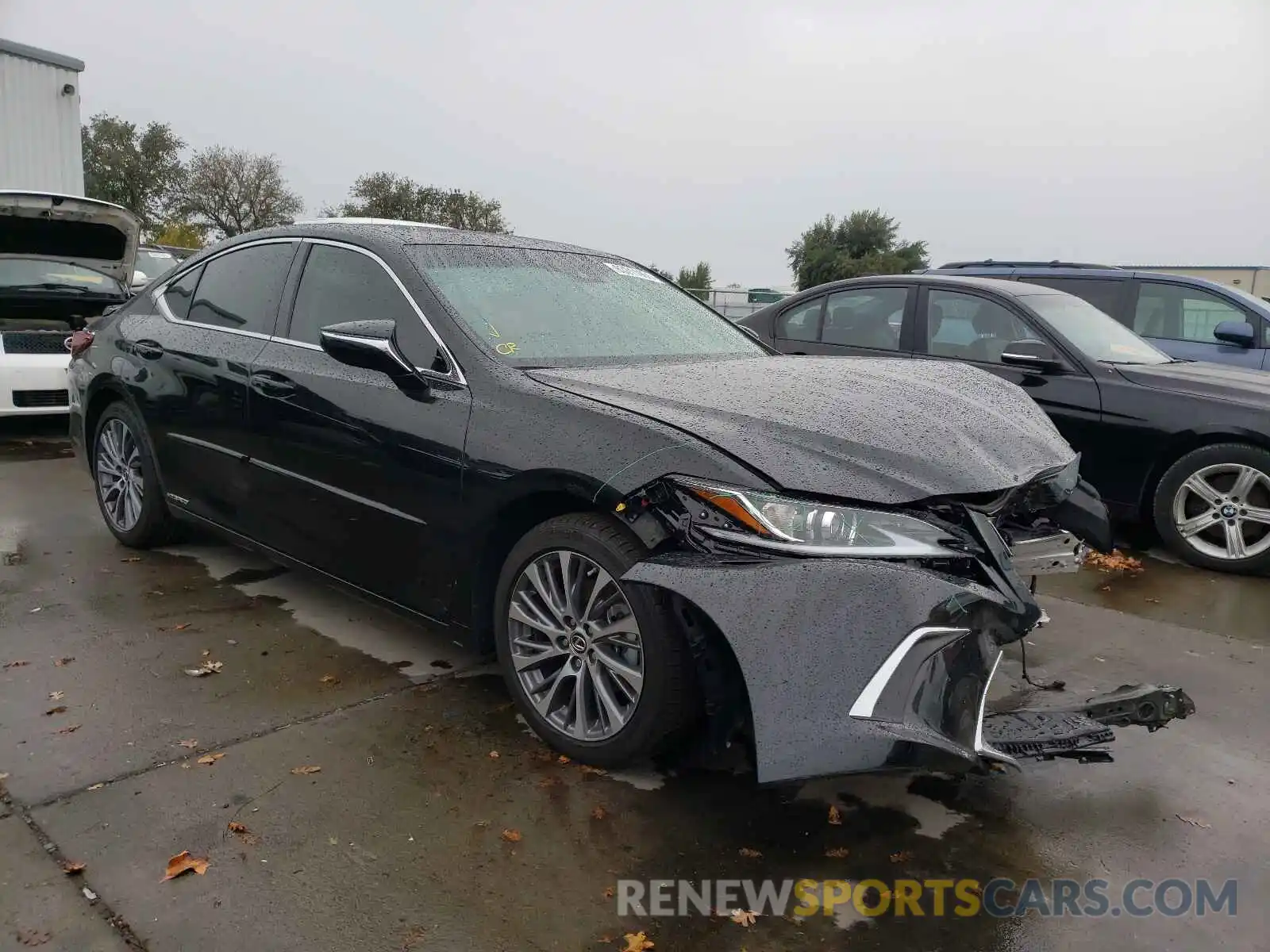 1 Photograph of a damaged car 58ADA1C12MU008600 LEXUS ES300 2021