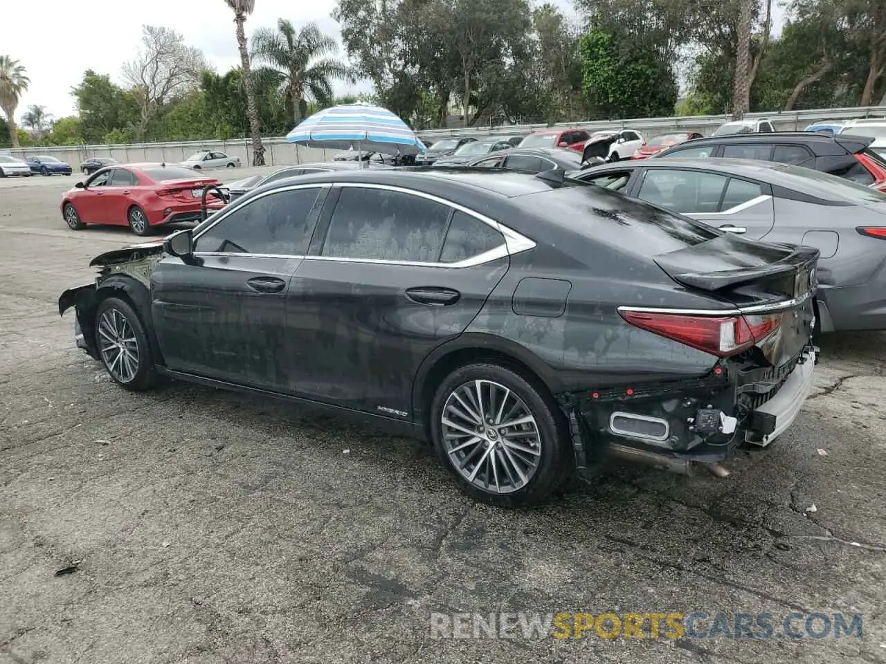 2 Photograph of a damaged car 58ADA1C13NU019560 LEXUS ES300 2022