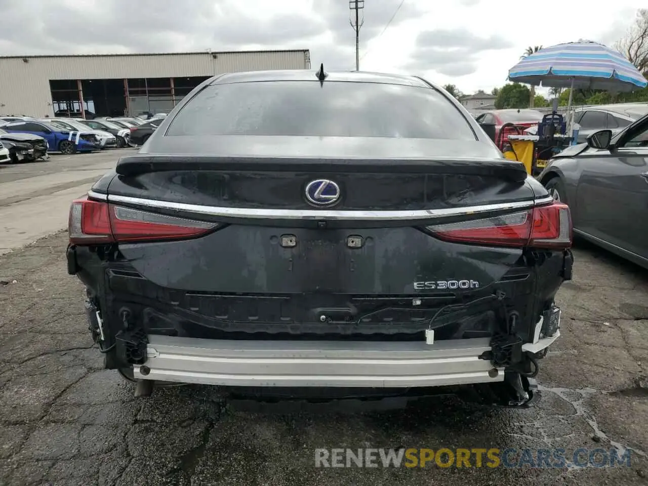 6 Photograph of a damaged car 58ADA1C13NU019560 LEXUS ES300 2022