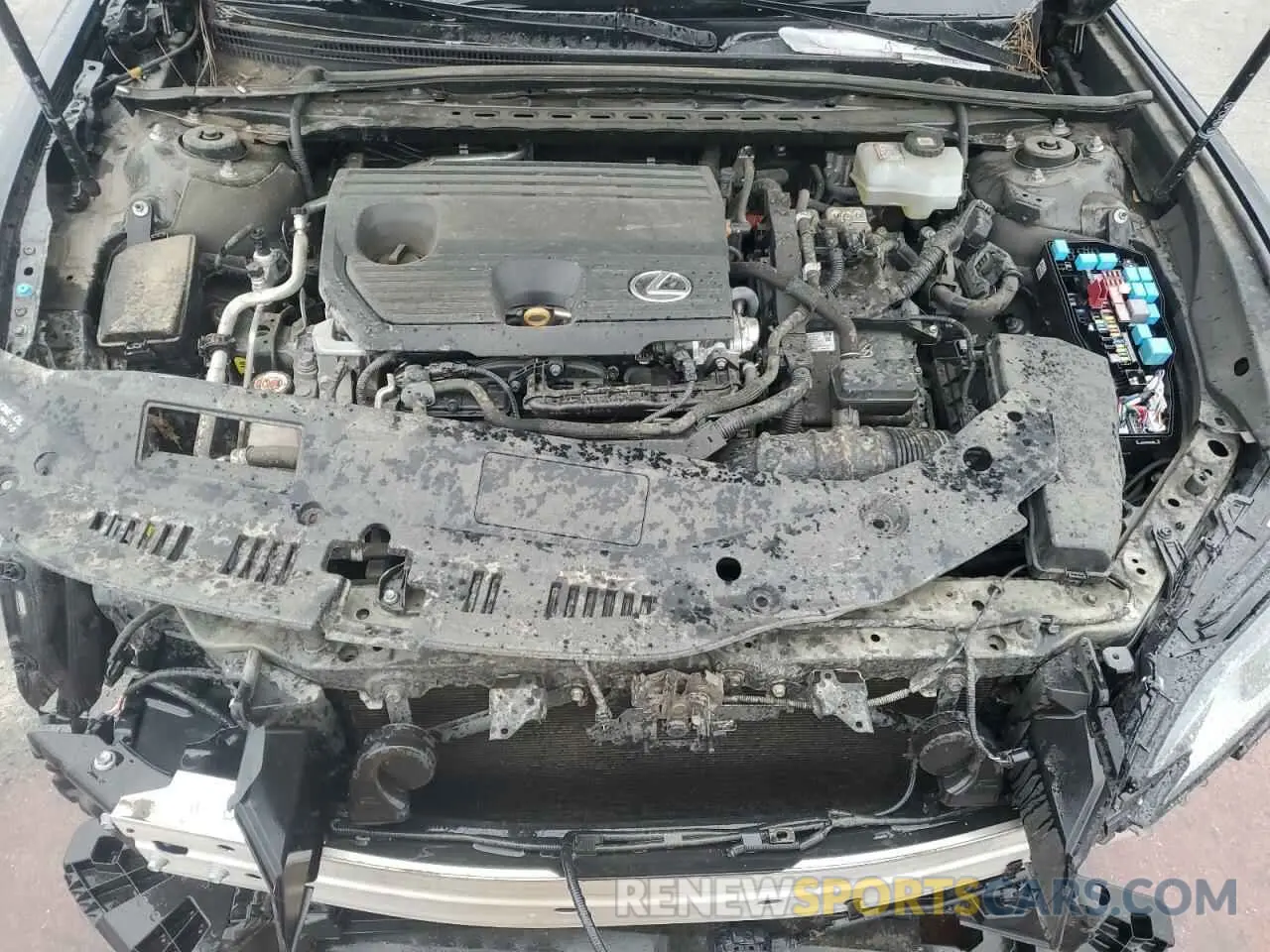 11 Photograph of a damaged car 58ADA1C19NU021166 LEXUS ES300 2022