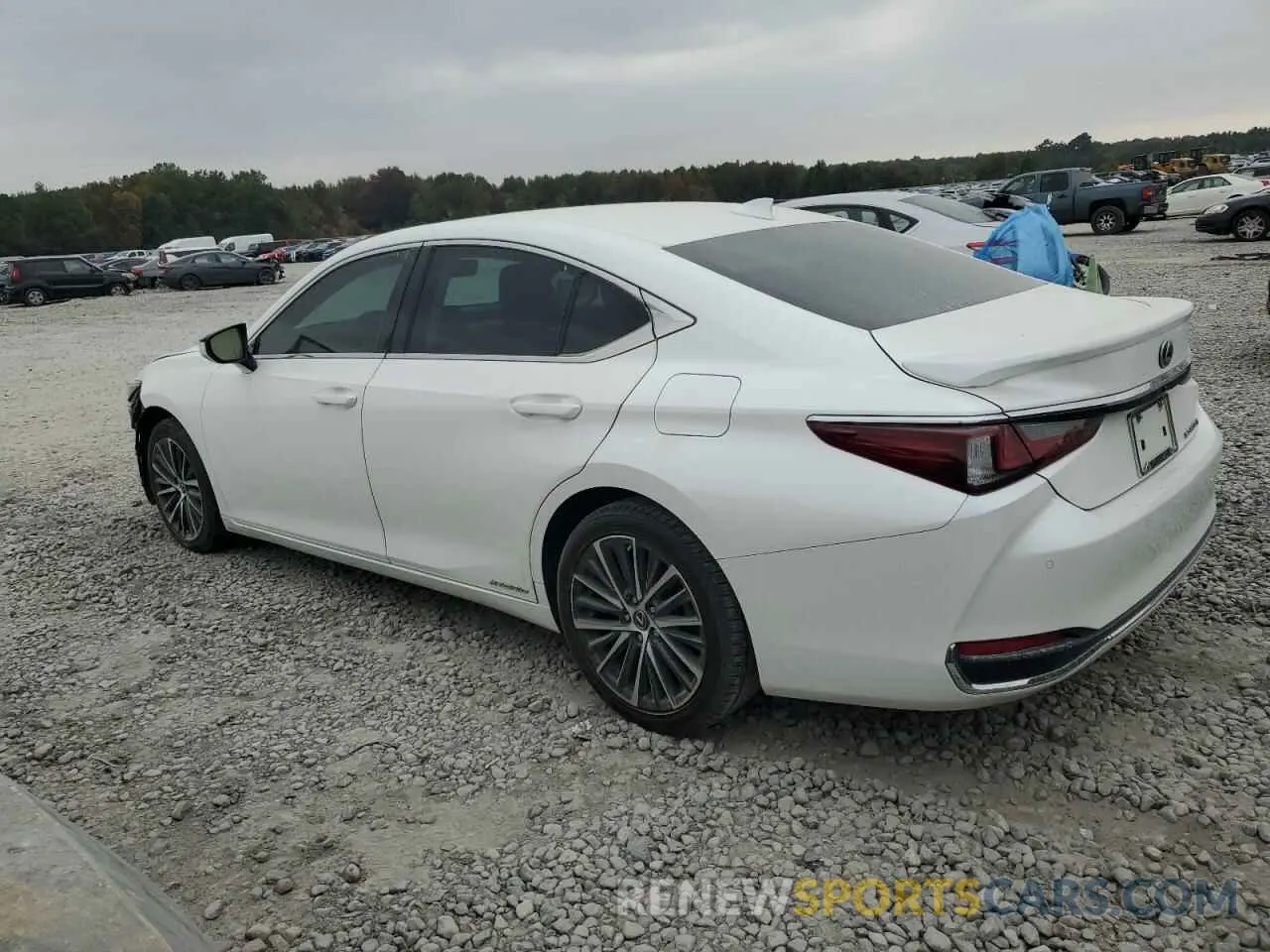 2 Photograph of a damaged car 58ADA1C19NU025931 LEXUS ES300 2022