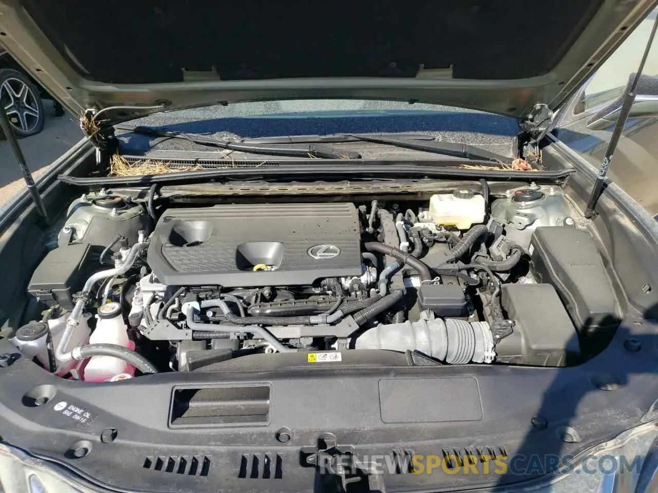 11 Photograph of a damaged car 58ADA1C1XNU023492 LEXUS ES300 2022