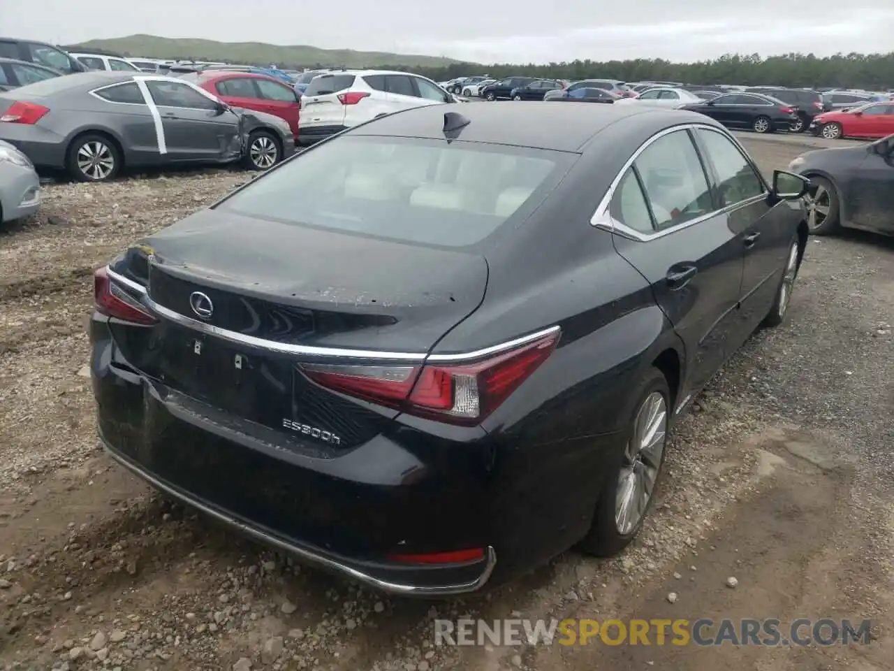 4 Photograph of a damaged car 58AEA1C19NU013119 LEXUS ES300 2022