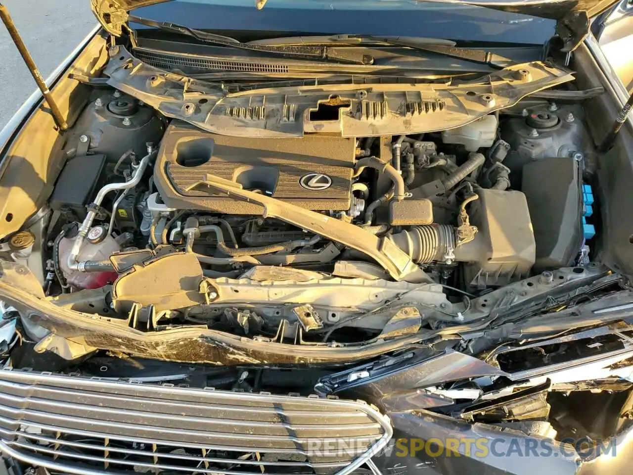 11 Photograph of a damaged car 58AEA1C19NU025089 LEXUS ES300 2022