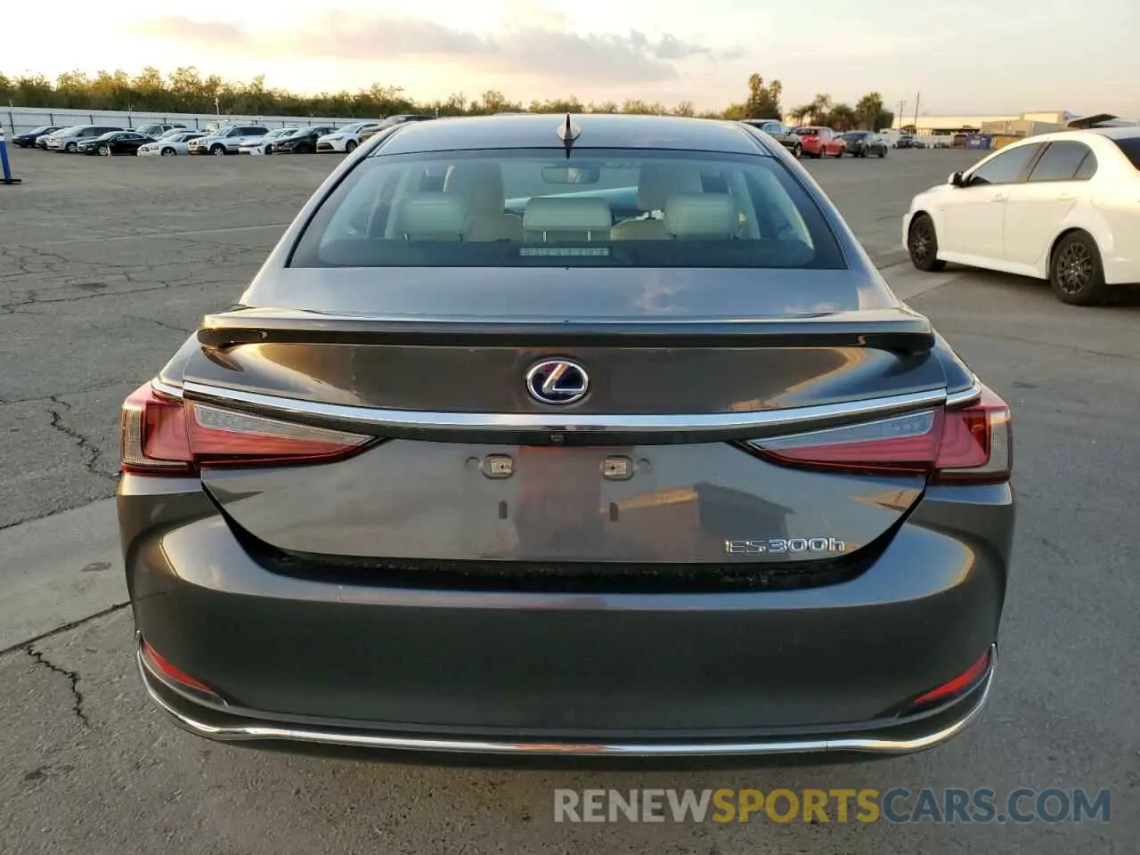6 Photograph of a damaged car 58AEA1C19NU025089 LEXUS ES300 2022