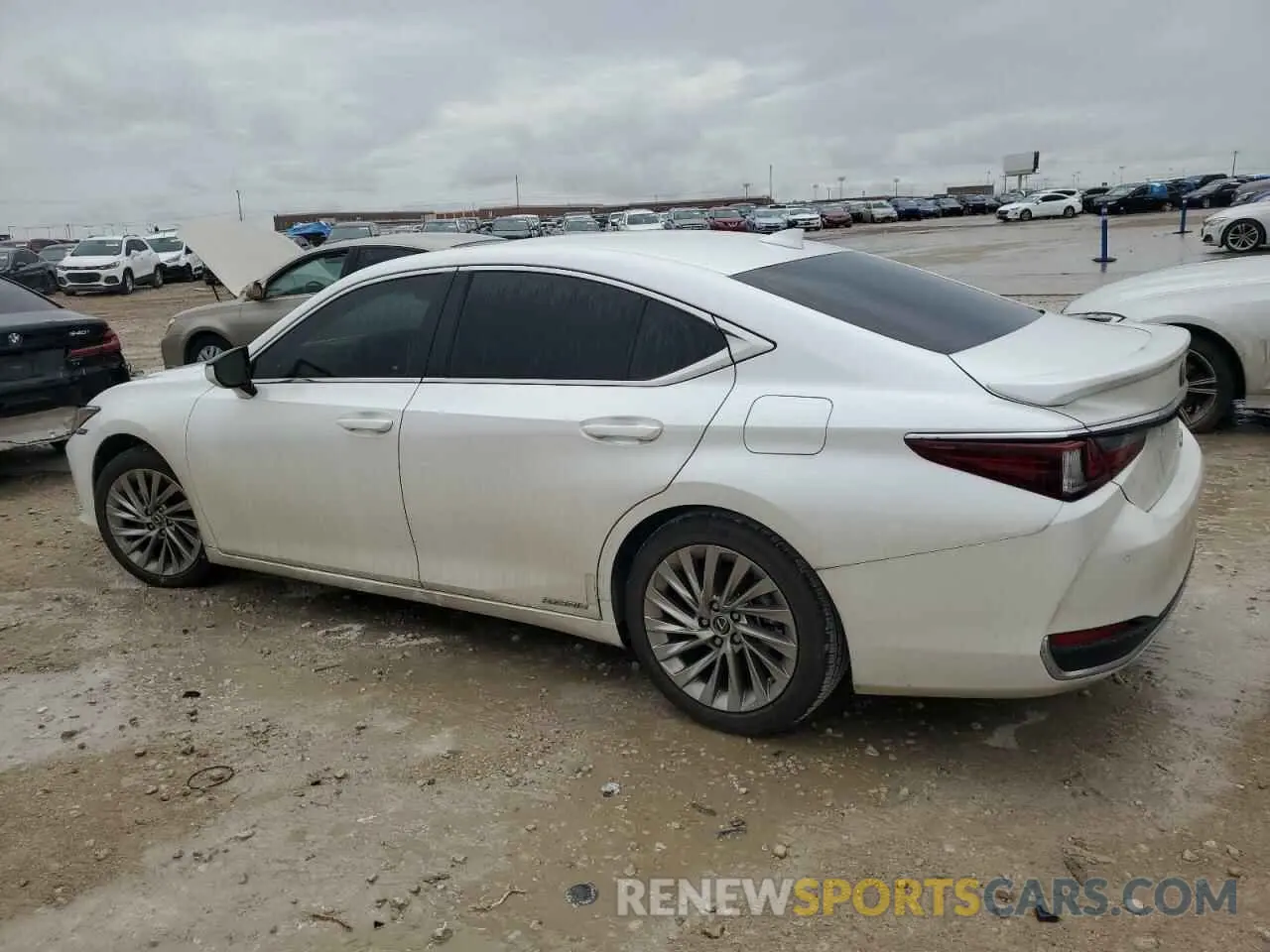2 Photograph of a damaged car 58AFA1C14NU023285 LEXUS ES300 2022