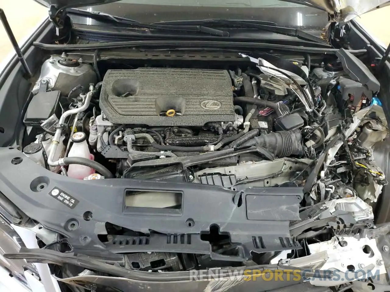 12 Photograph of a damaged car 58AGA1C1XNU014899 LEXUS ES300 2022