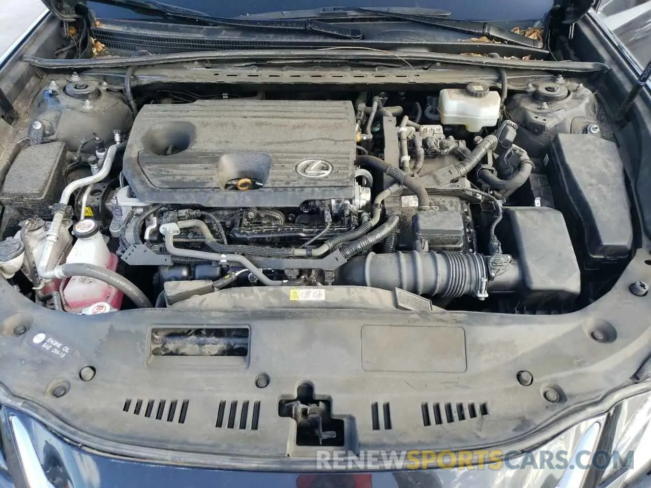13 Photograph of a damaged car 58ADA1C19PU029786 LEXUS ES300 2023