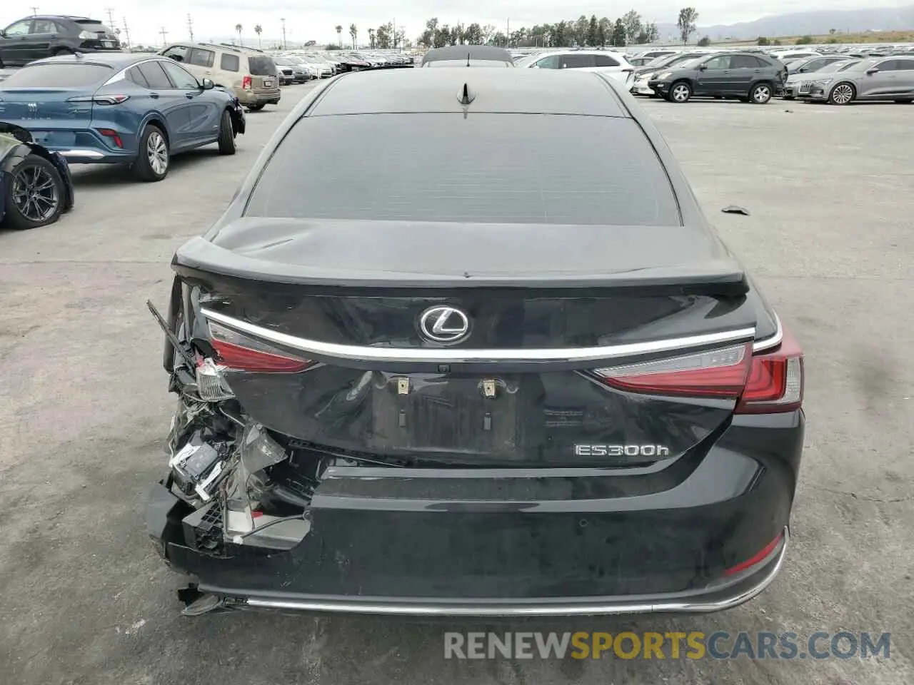6 Photograph of a damaged car 58ADA1C1XPU034477 LEXUS ES300 2023