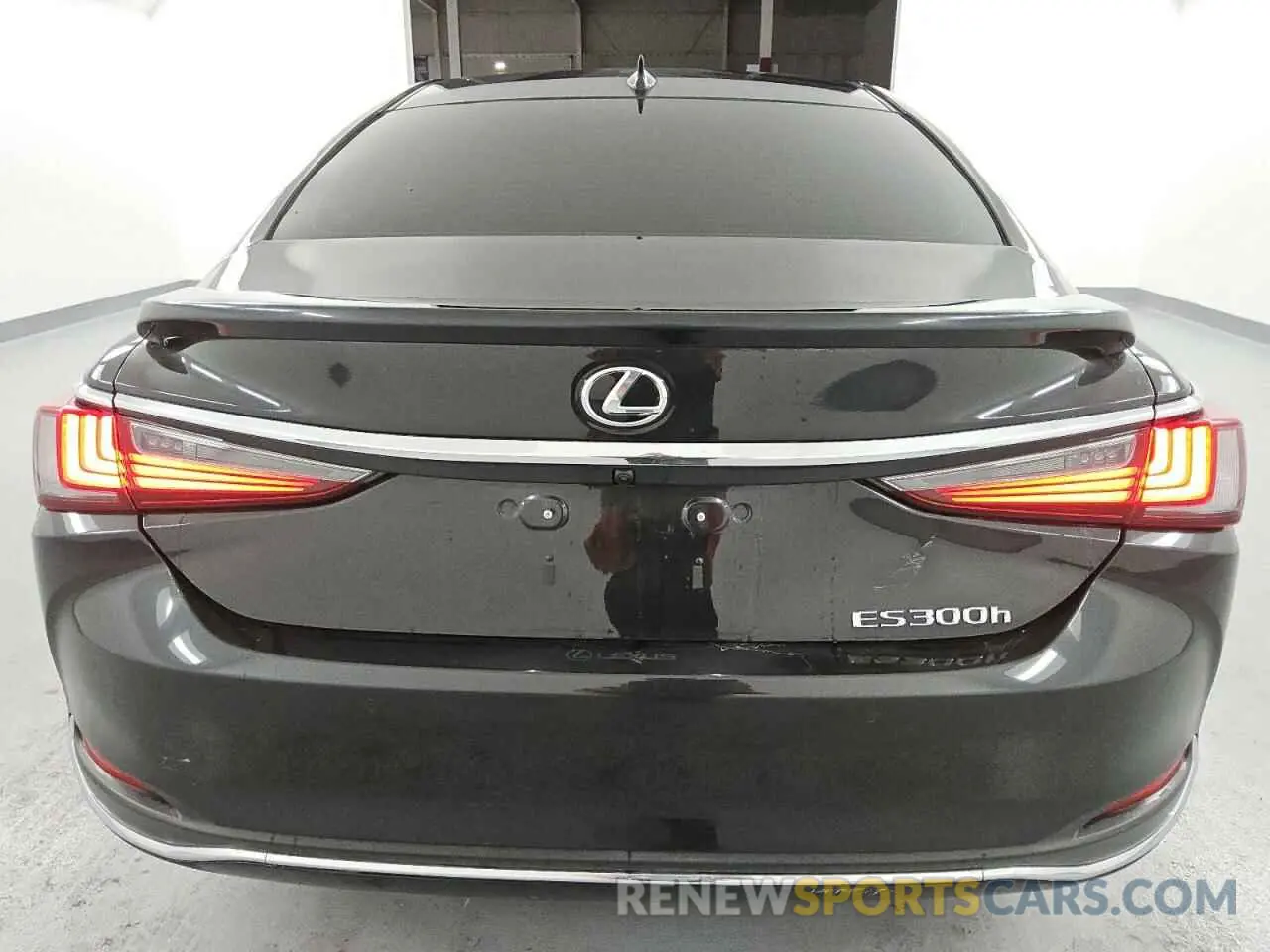 6 Photograph of a damaged car 58AEA1C19PU034328 LEXUS ES300 2023