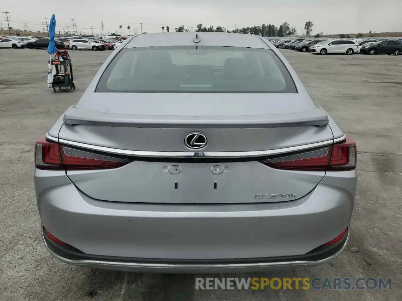 6 Photograph of a damaged car 58ADA1C12RU051485 LEXUS ES300 2024