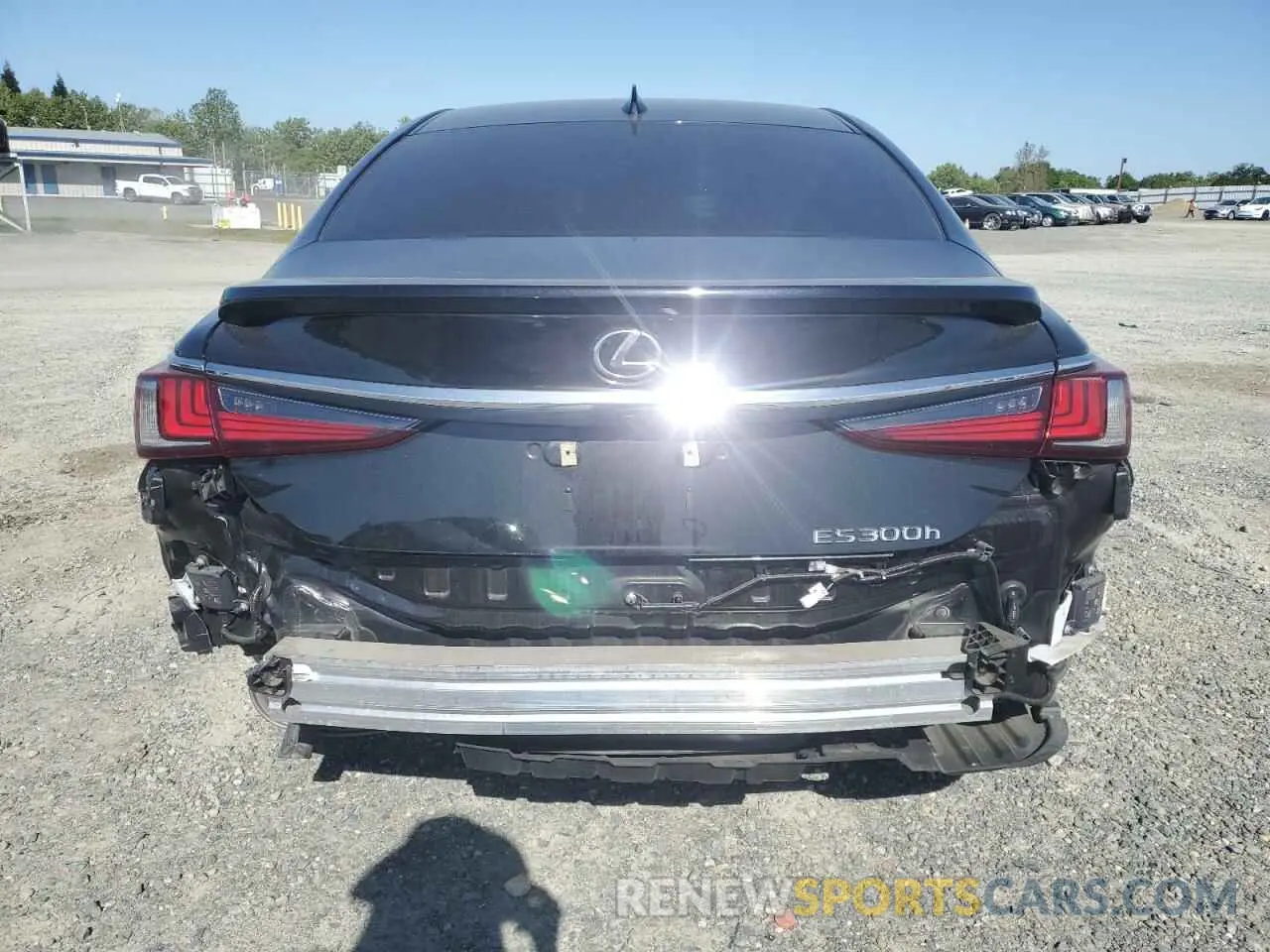 6 Photograph of a damaged car 58ADA1C14RU037622 LEXUS ES300 2024