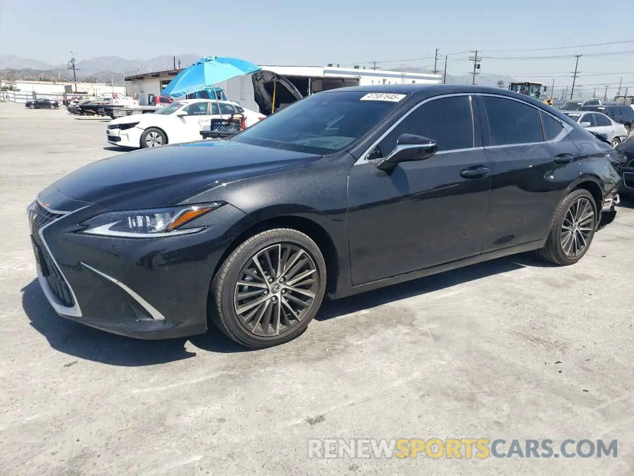 1 Photograph of a damaged car 58ADA1C19RU041472 LEXUS ES300 2024