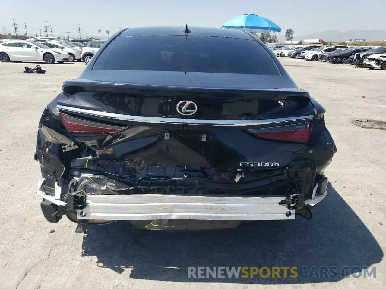 6 Photograph of a damaged car 58ADA1C19RU041472 LEXUS ES300 2024