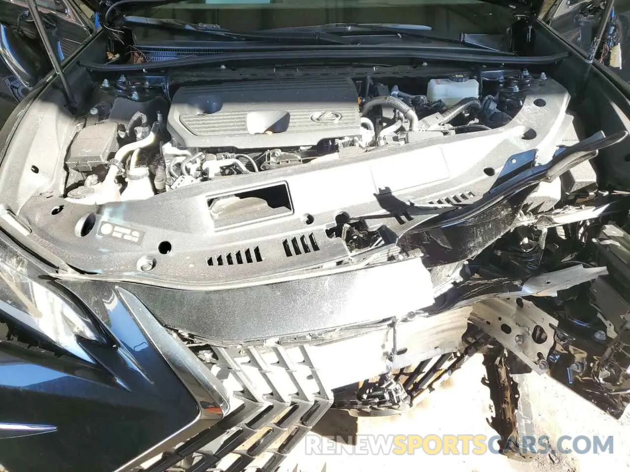 11 Photograph of a damaged car 58ADA1C14SU055656 LEXUS ES300 2025