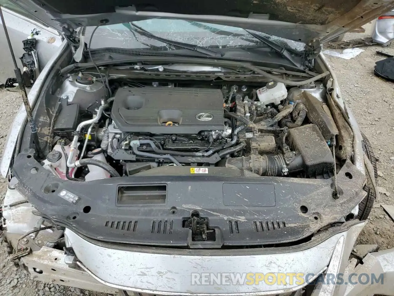12 Photograph of a damaged car 58AEA1C1XSU061224 LEXUS ES300 2025