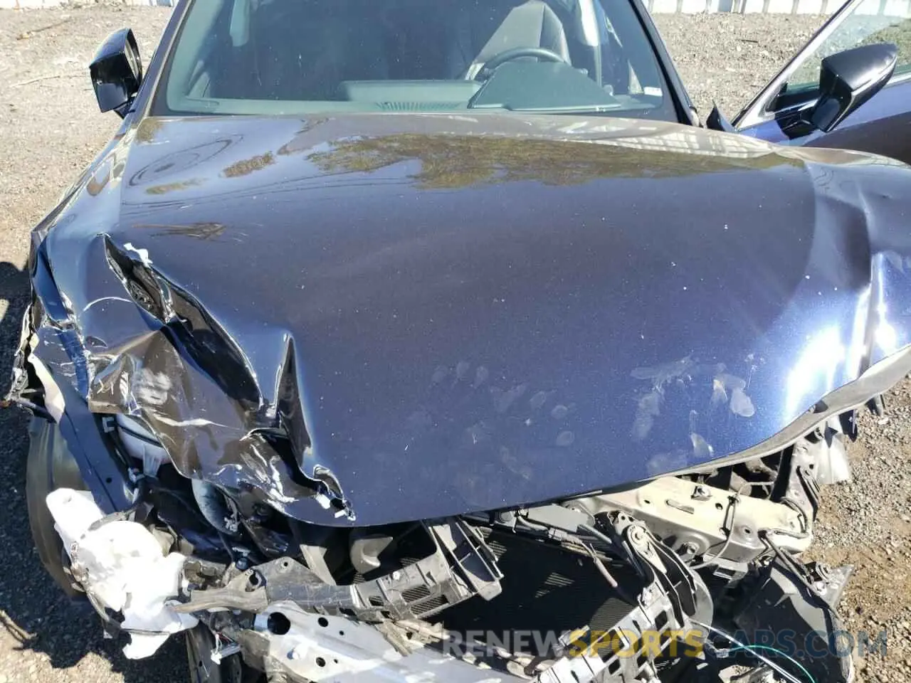 12 Photograph of a damaged car 58ABZ1B16KU049472 LEXUS ES350 2019