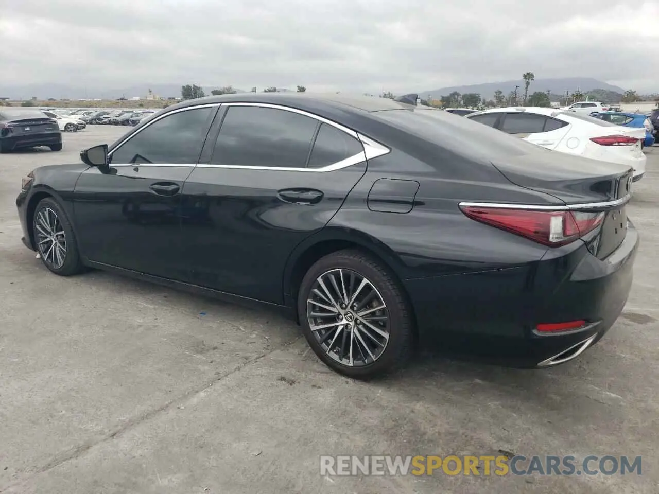 2 Photograph of a damaged car 58ADZ1B1XPU147601 LEXUS ES350 2023