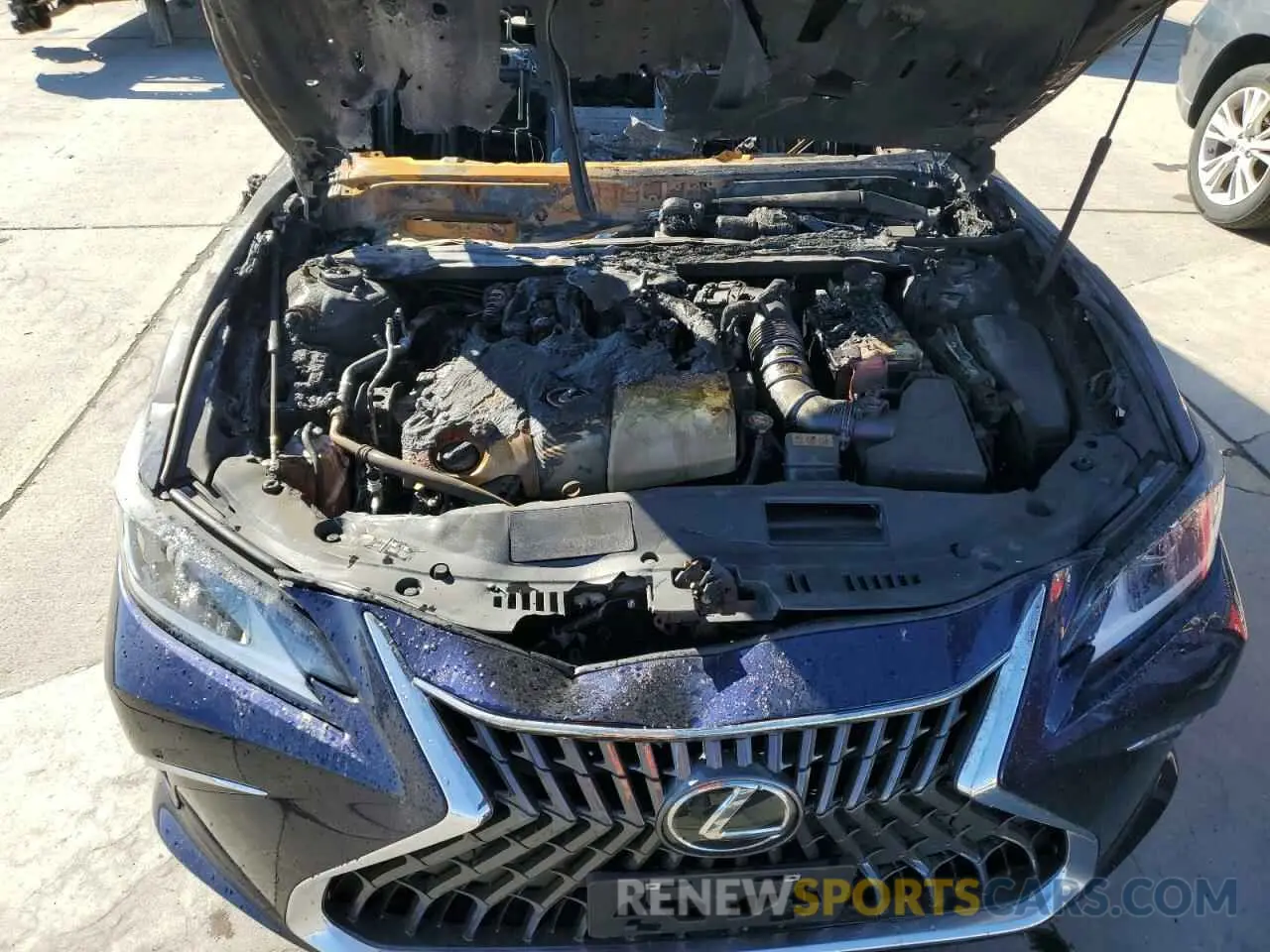 11 Photograph of a damaged car 58ADZ1B15SU195323 LEXUS ES350 2025
