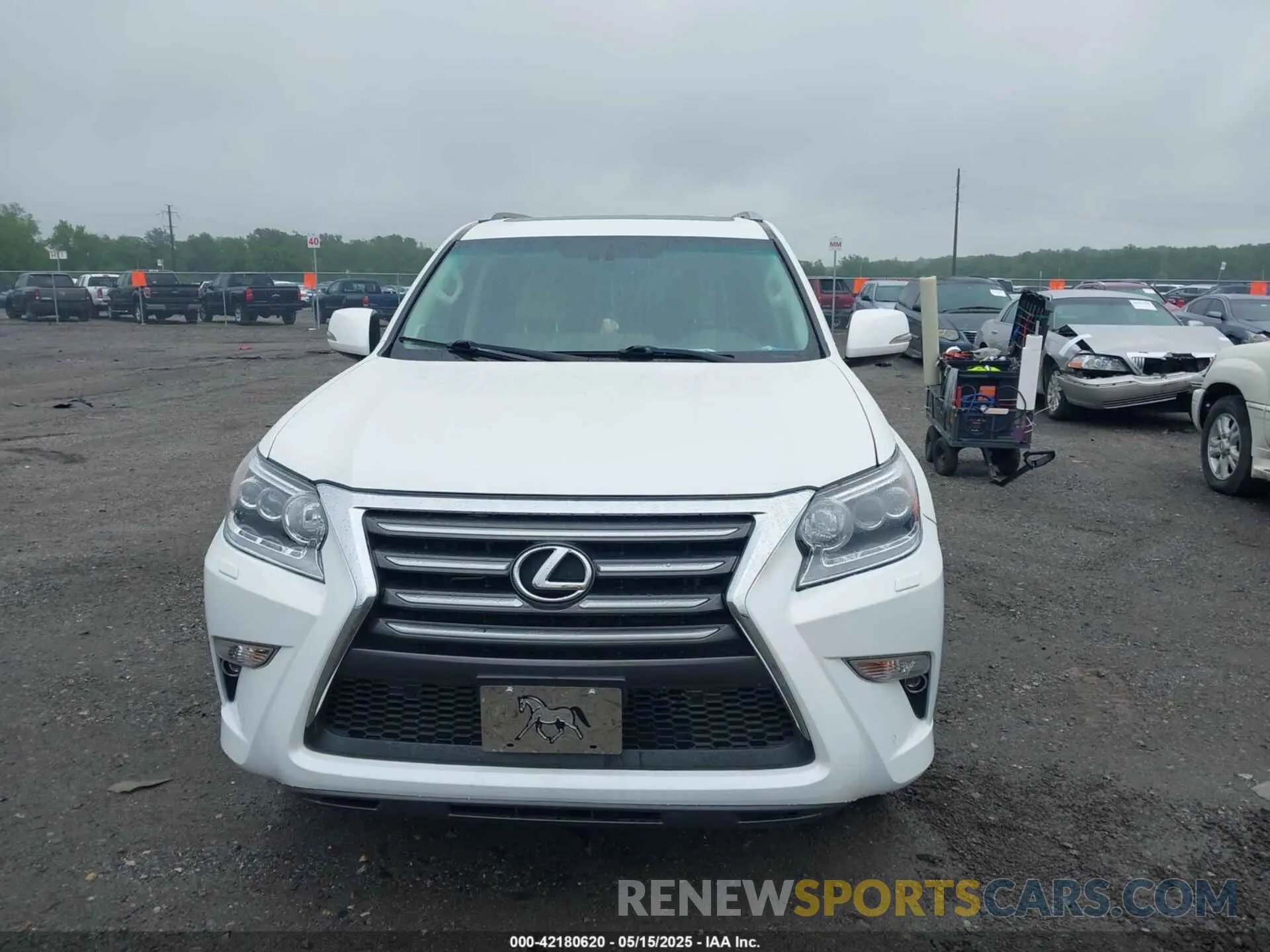 12 Photograph of a damaged car JTJBM7FX8K5233766 LEXUS GX 460 2019