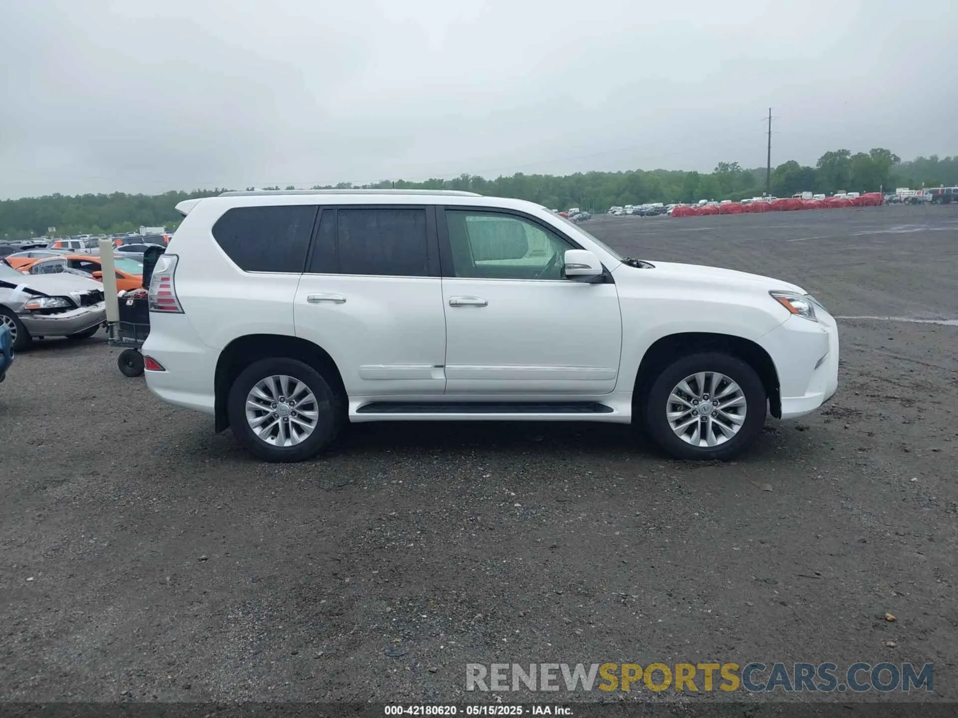 13 Photograph of a damaged car JTJBM7FX8K5233766 LEXUS GX 460 2019