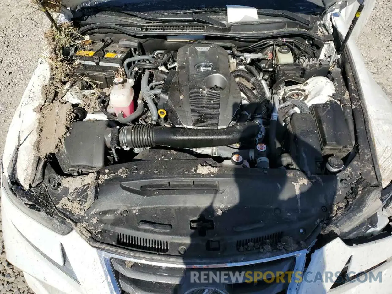 11 Photograph of a damaged car JTHAA1D26L5108390 LEXUS IS 2020