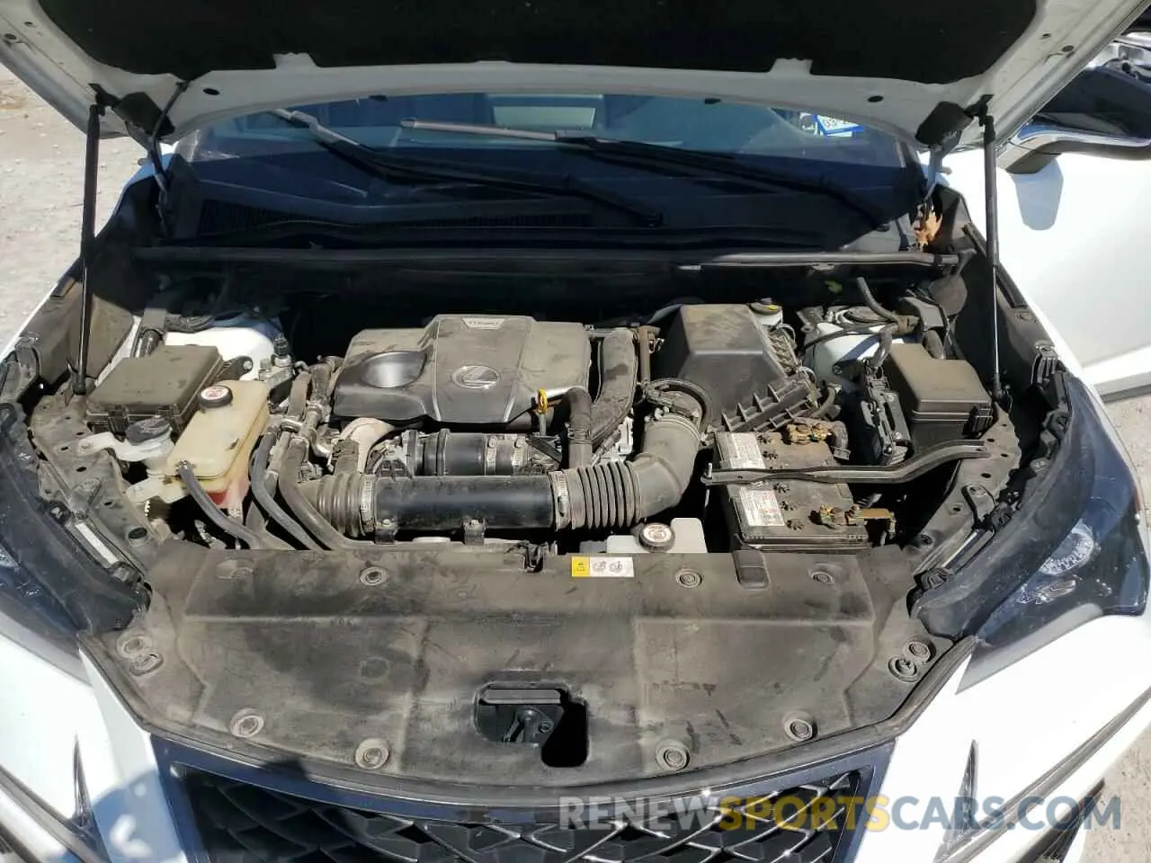 12 Photograph of a damaged car JTJBARBZ0K2189565 LEXUS NX 2019