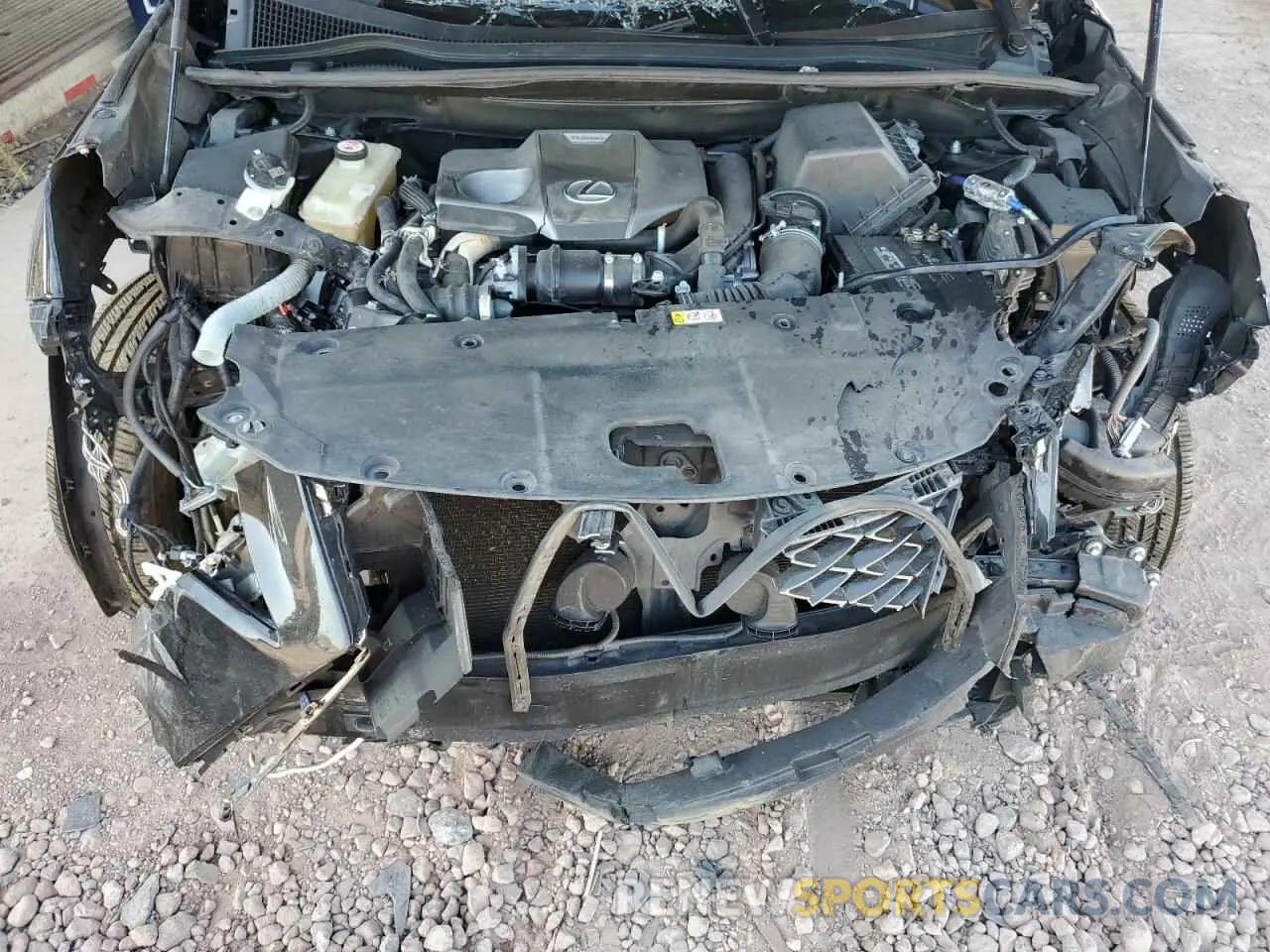 12 Photograph of a damaged car JTJBARBZ0K2201830 LEXUS NX 2019