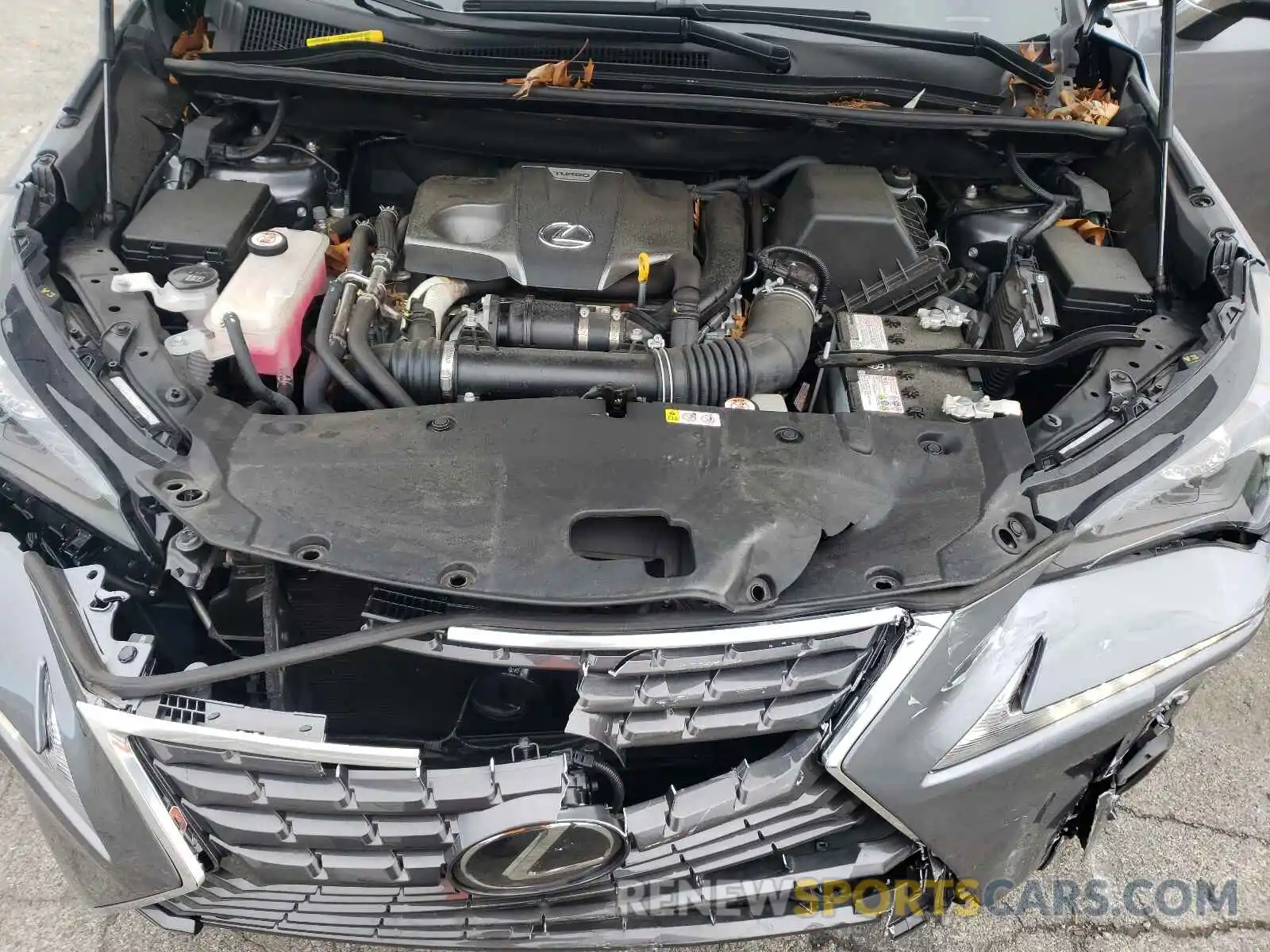 7 Photograph of a damaged car JTJBARBZ0K2216568 LEXUS NX 2019