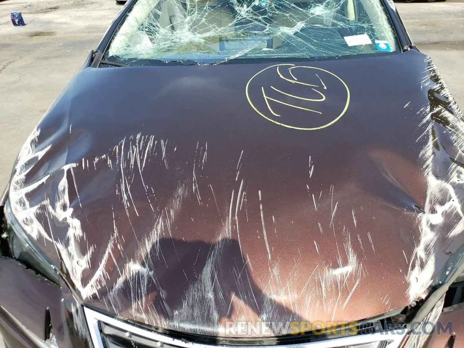 7 Photograph of a damaged car JTJBARBZ1K2194600 LEXUS NX 2019