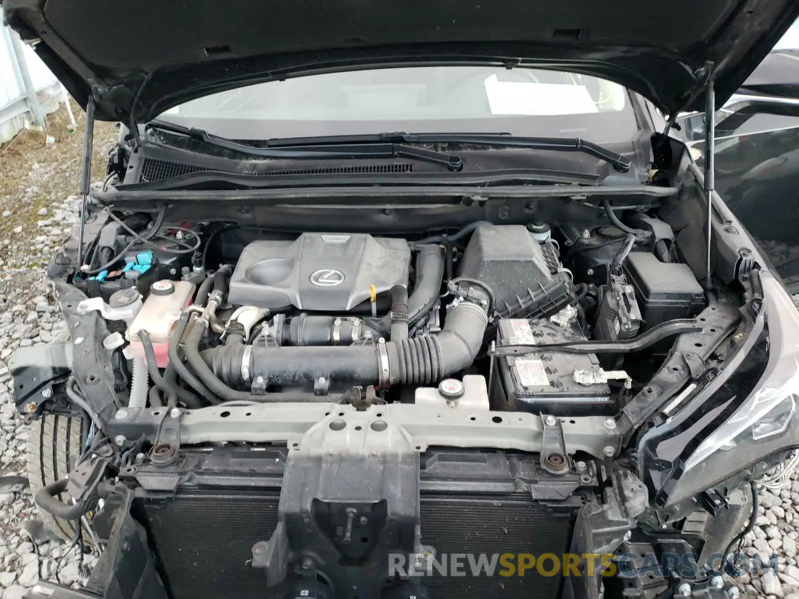 7 Photograph of a damaged car JTJBARBZ2K2193391 LEXUS NX 2019