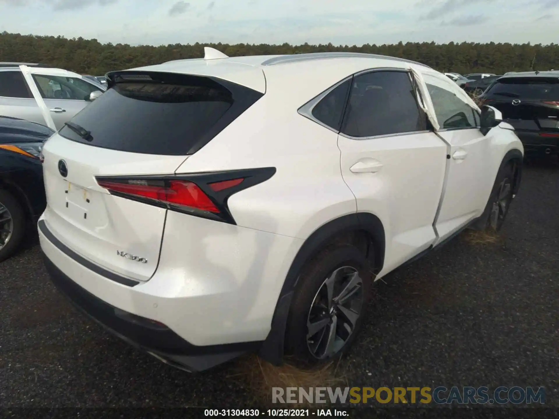 4 Photograph of a damaged car JTJBARBZ3K2196705 LEXUS NX 2019