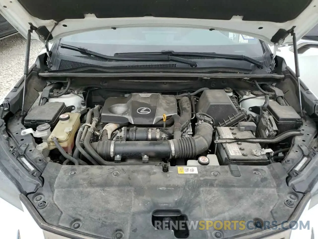 12 Photograph of a damaged car JTJBARBZ4K2186166 LEXUS NX 2019