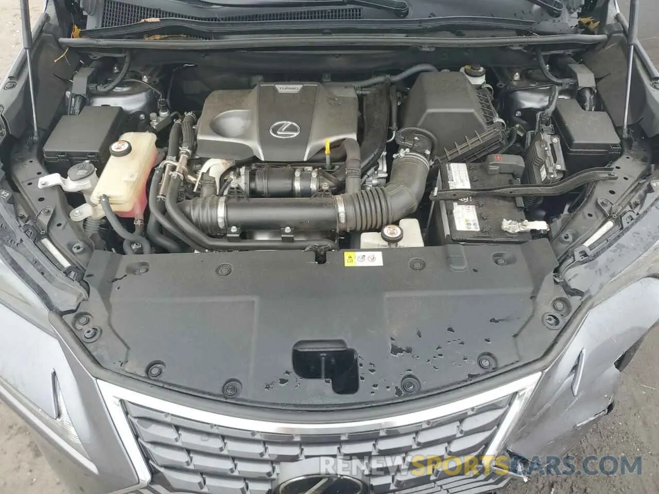 12 Photograph of a damaged car JTJBARBZ4K2190038 LEXUS NX 2019