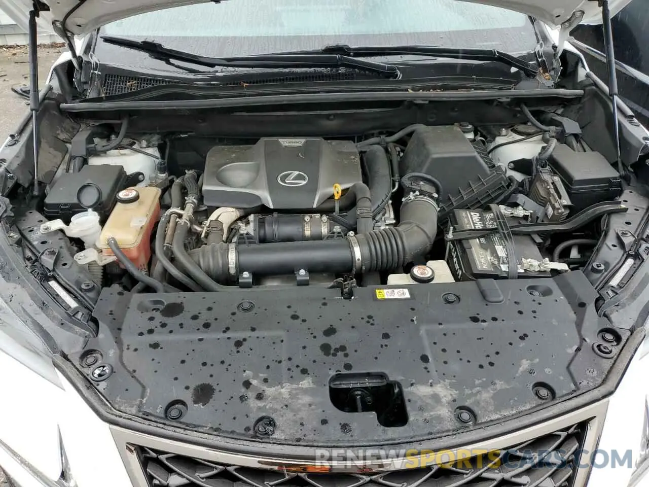 12 Photograph of a damaged car JTJBARBZ5K2192588 LEXUS NX 2019