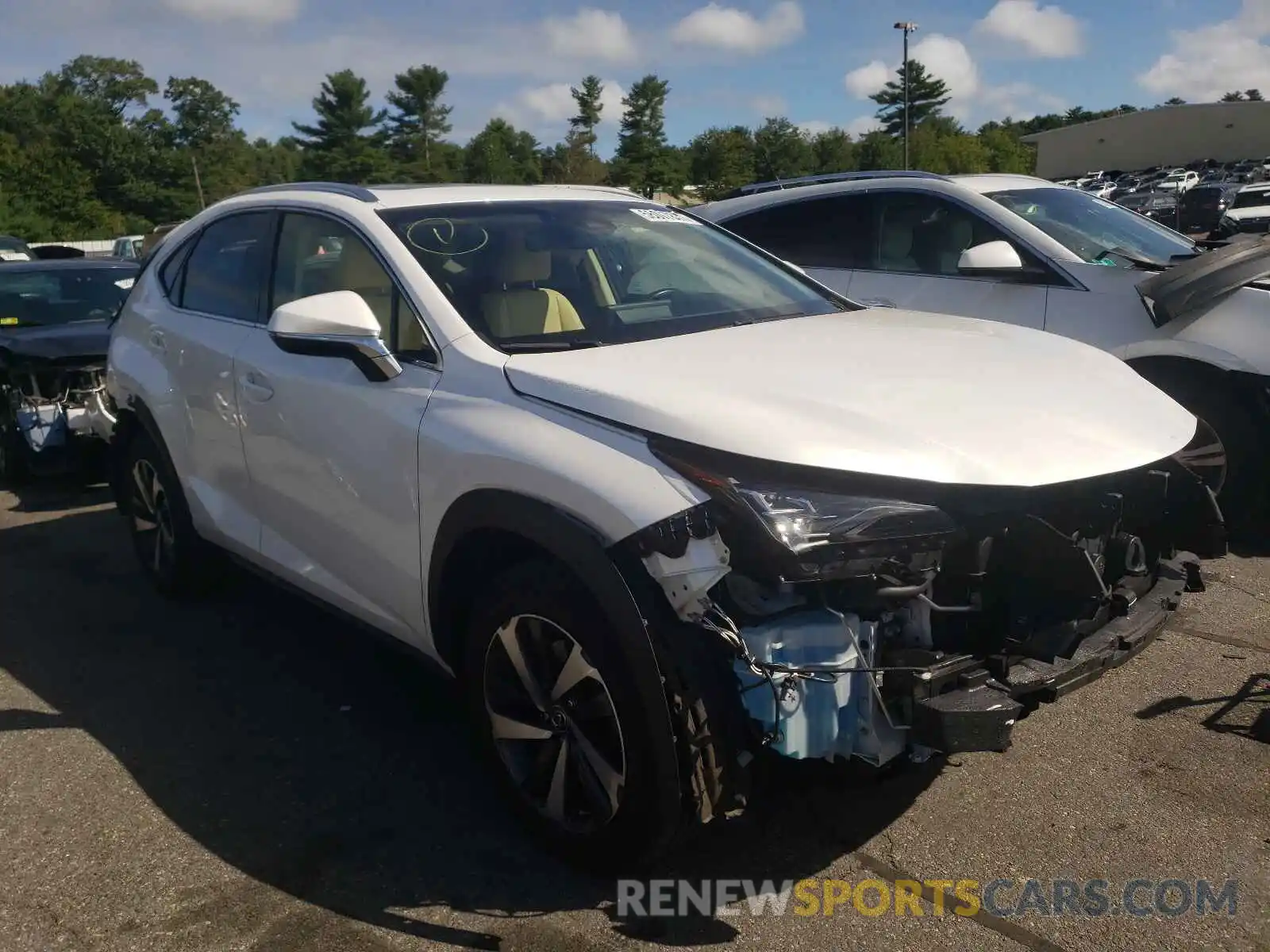 1 Photograph of a damaged car JTJBARBZ5K2200396 LEXUS NX 2019