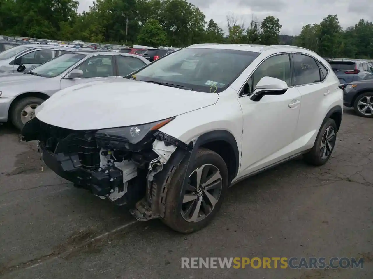 2 Photograph of a damaged car JTJBARBZ8K2183383 LEXUS NX 2019