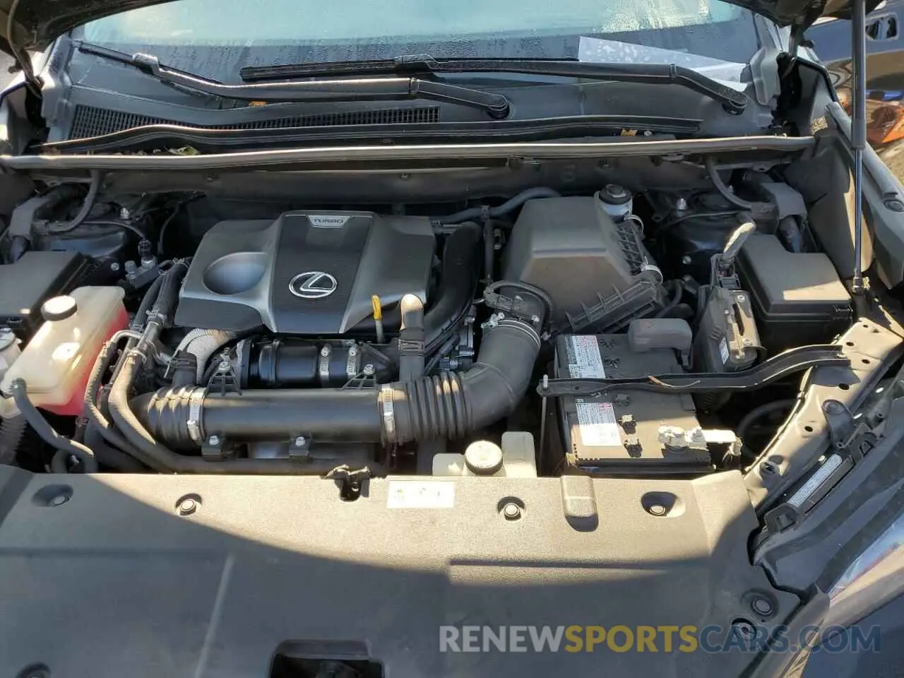 12 Photograph of a damaged car JTJBARBZ8K2189622 LEXUS NX 2019