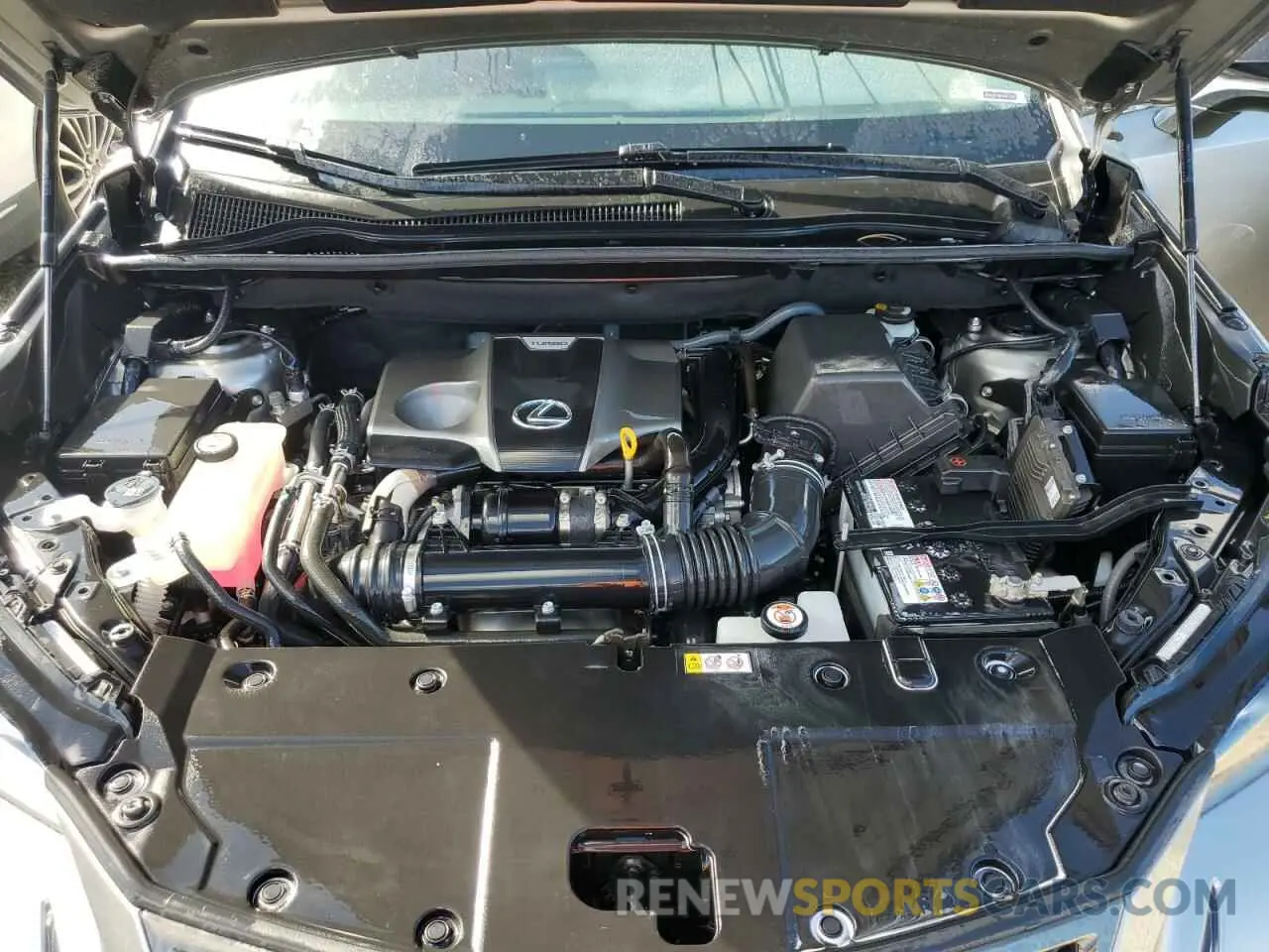 12 Photograph of a damaged car JTJBARBZ8K2213210 LEXUS NX 2019