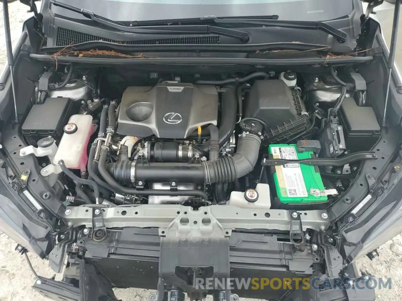 12 Photograph of a damaged car JTJBARBZ8K2217290 LEXUS NX 2019