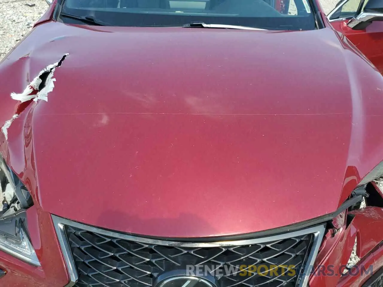 12 Photograph of a damaged car JTJBARBZ9K2181108 LEXUS NX 2019