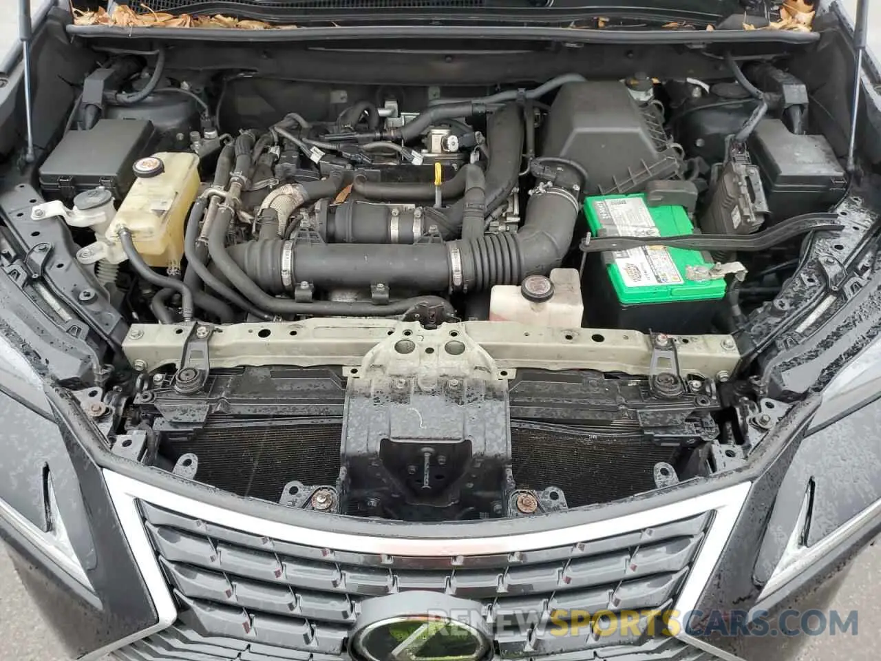 12 Photograph of a damaged car JTJBARBZ9K2189502 LEXUS NX 2019