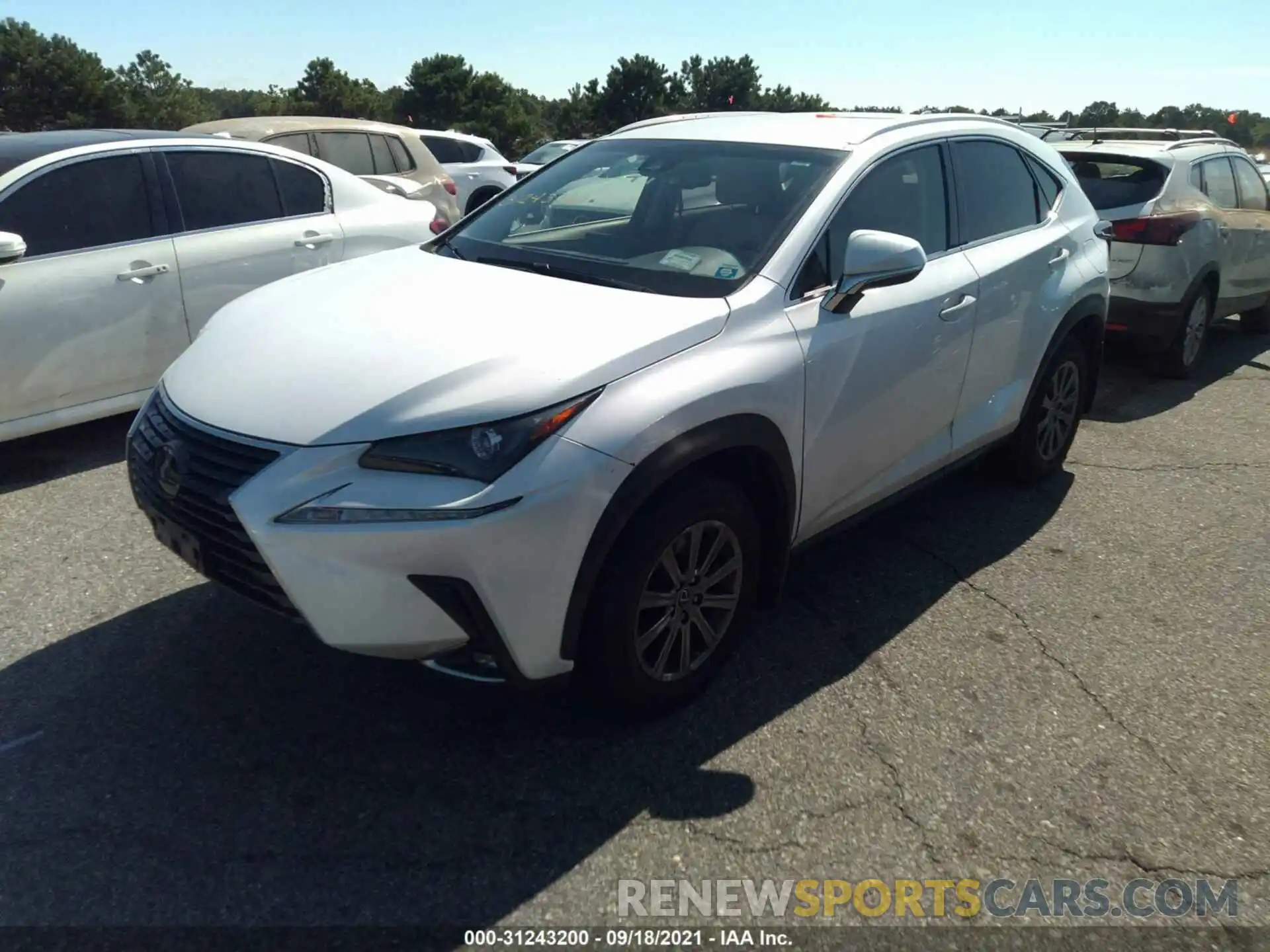 2 Photograph of a damaged car JTJYARBZ0K2118196 LEXUS NX 2019