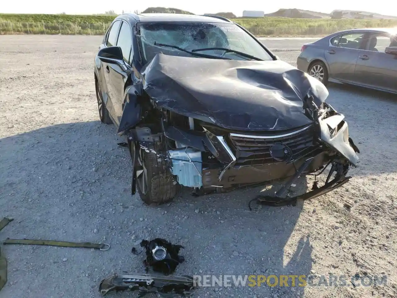 9 Photograph of a damaged car JTJYARBZ0K2130591 LEXUS NX 2019